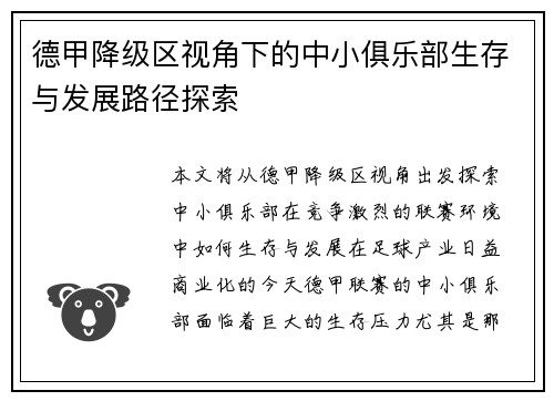 德甲降级区视角下的中小俱乐部生存与发展路径探索